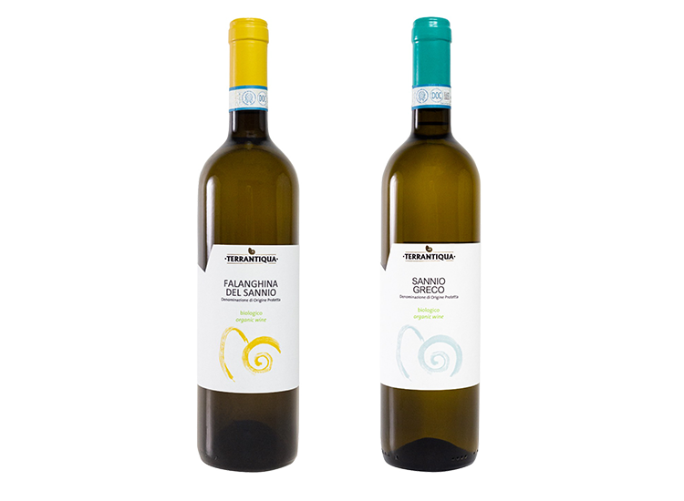 falanghina-e-greco-vini-bianchi